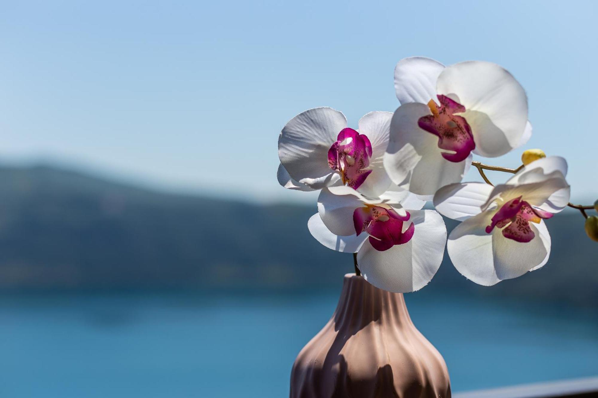 Hotel Castel Gandolfo Rum bild